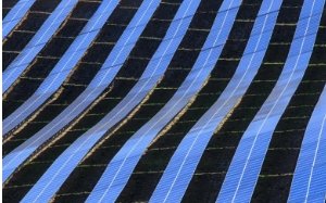 Saudi Arabia Advances Energy Transition with 15 GW Solar and Wind Deal
