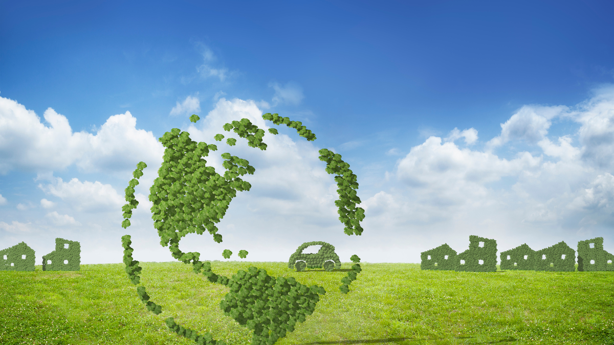 Justin Locke Leads Global Energy Monitor Into New Solar Era