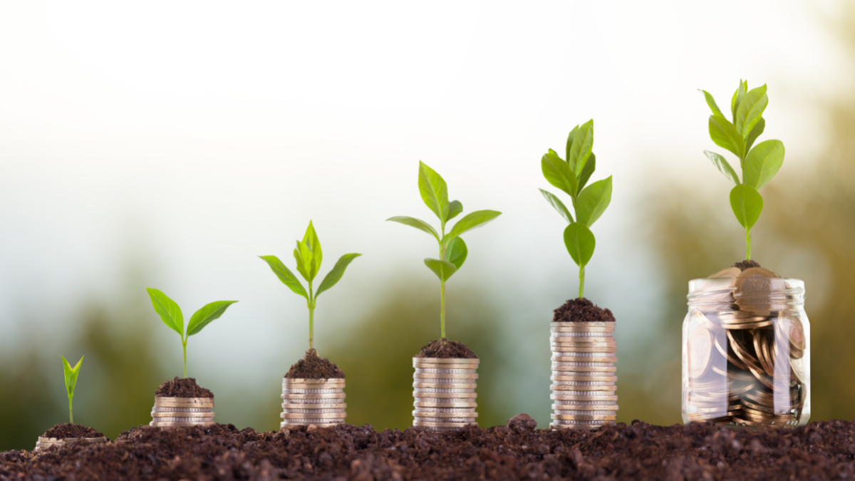 Saudi Electricity Company Sees H1 2025 Surge in Renewables and ESG