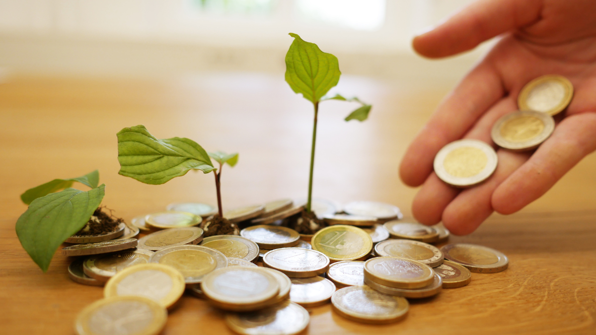 Green Bonds Fuel India’s Solar Shift Despite Regulatory Risks