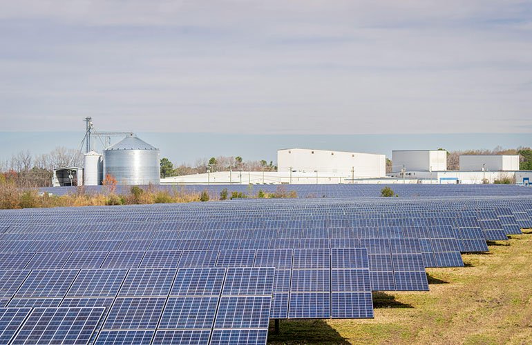 USDA Tightens REAP Funding for Solar on Farmland