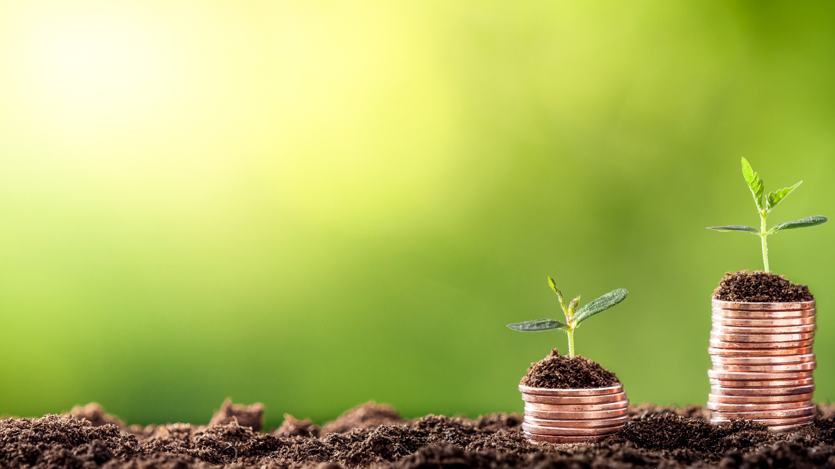 DOE Invests $35M in AI and Grid Solutions for Solar Growth