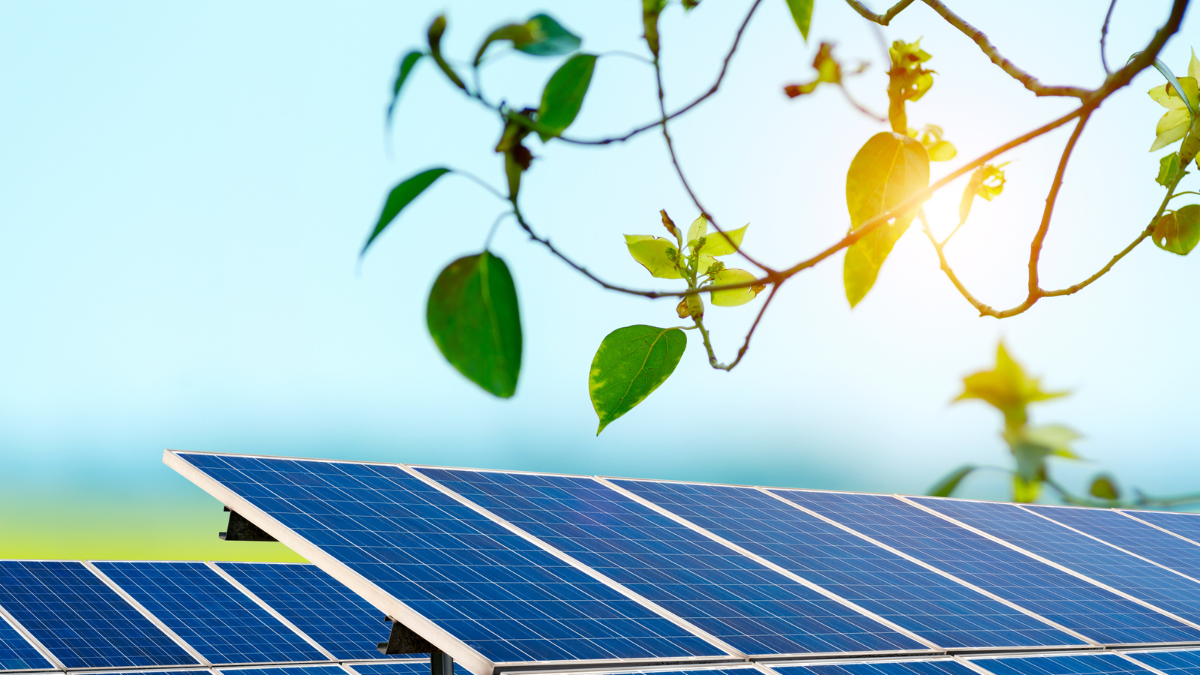 RERC Greenlights 488 MW Solar Tariffs Under PM-KUSUM in Rajasthan