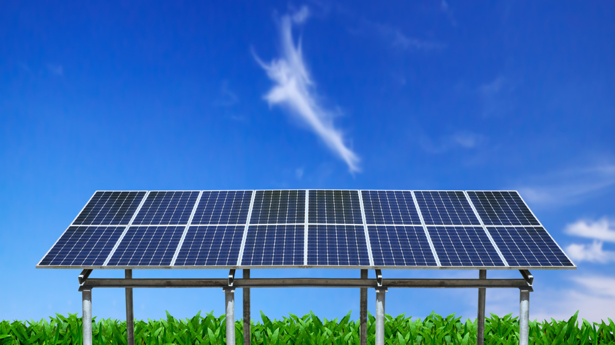 SJVN Green Energy’s 733 MW Solar Tender in Maharashtra for Farm Power