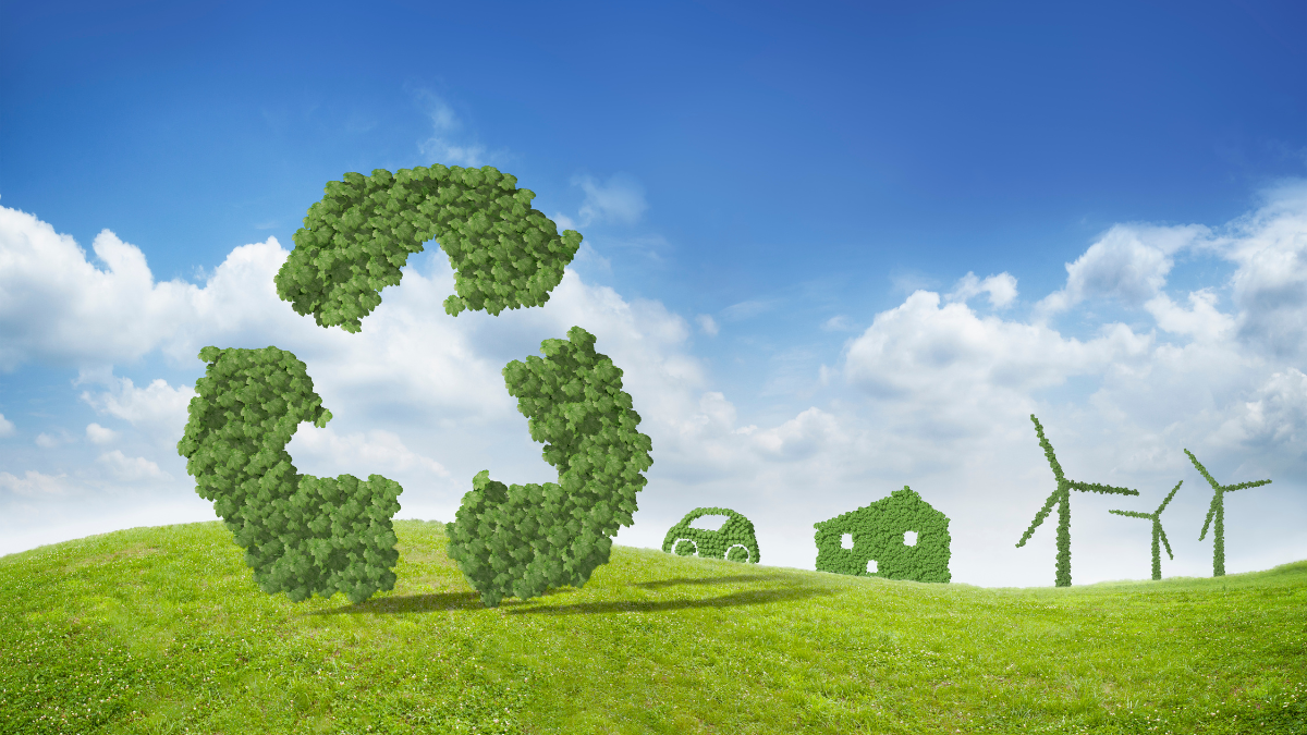 India’s Solar Sector Focuses on Grid Stability for 500 GW Renewable Target