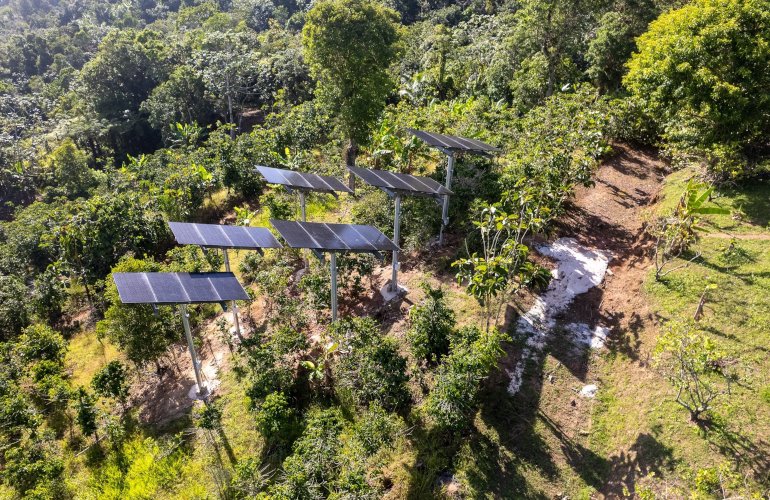Pole-Mount Agrivoltaics Elevate Puerto Rico Coffee Farm Resilience