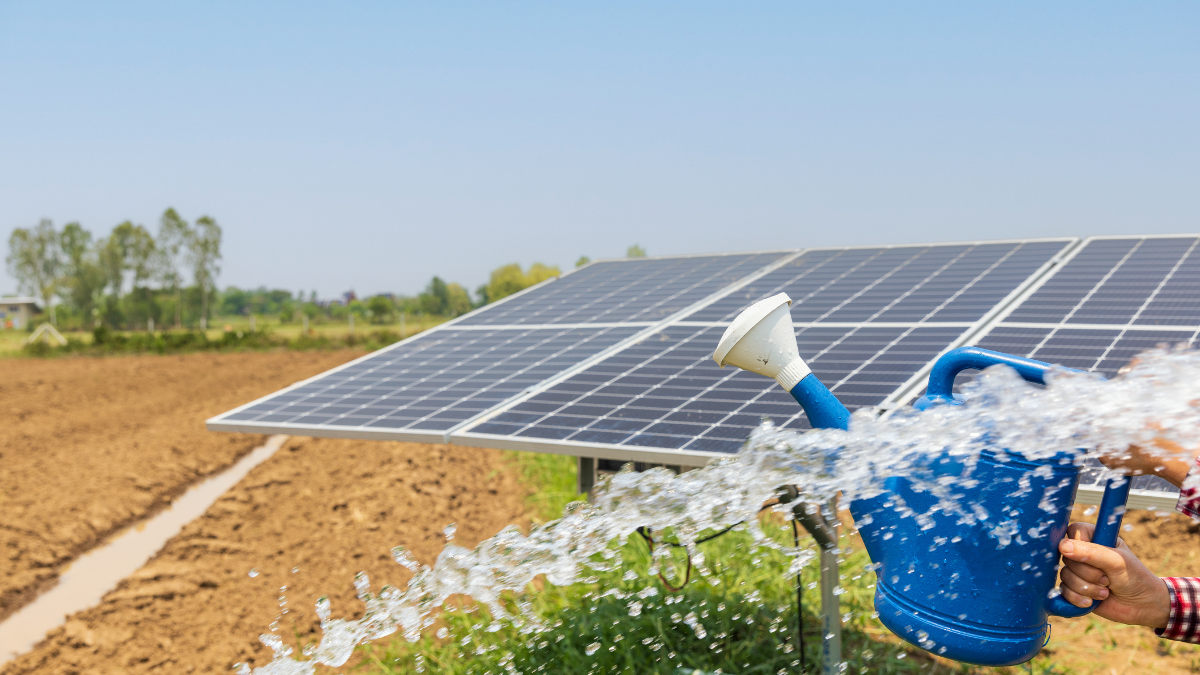 DEI Energizes Massachusetts with 7.1 MW Solar and Storage on Superfund Site